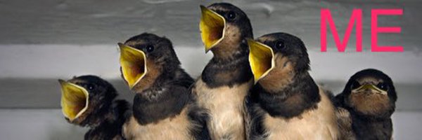 Operagasm Profile Banner