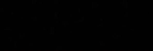 Ant banner