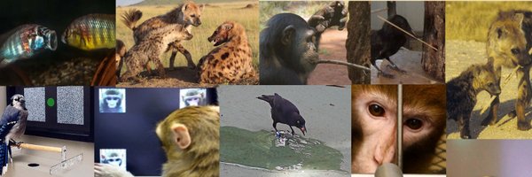 UmEhap Profile Banner