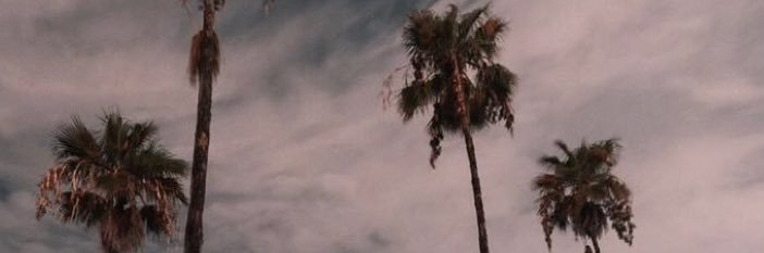 wl171l's profile banner image