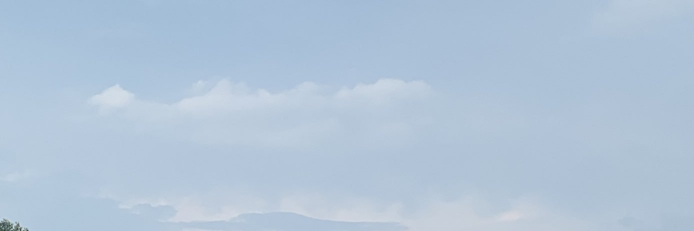 🌷🌷 banner