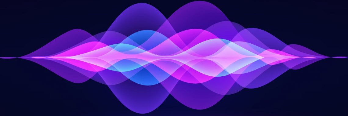 Seth DeSantis banner