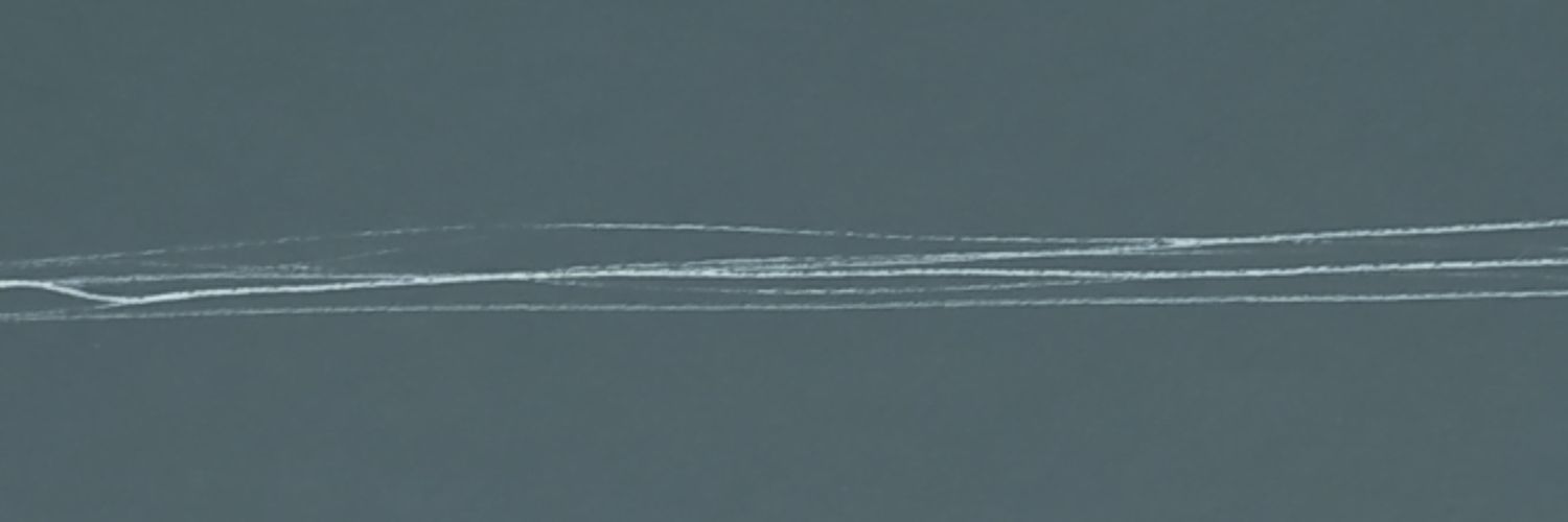 Eris Varga banner