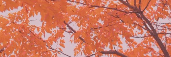 admirephil Profile Banner