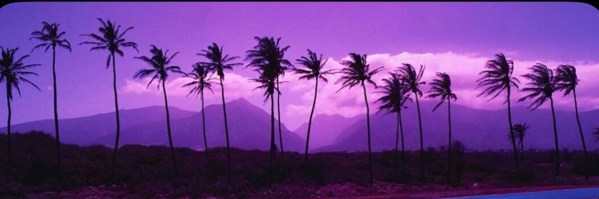 vuxrzi's profile banner image