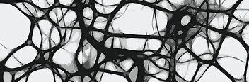sscollignon's profile banner image