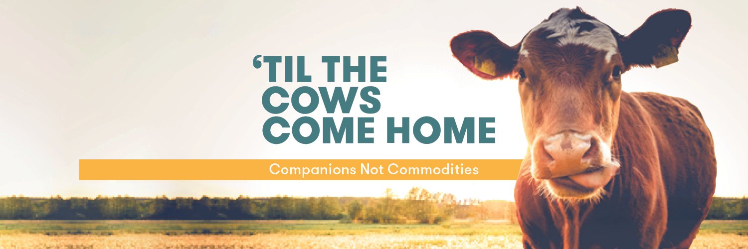 'Til The Cows Come Home banner