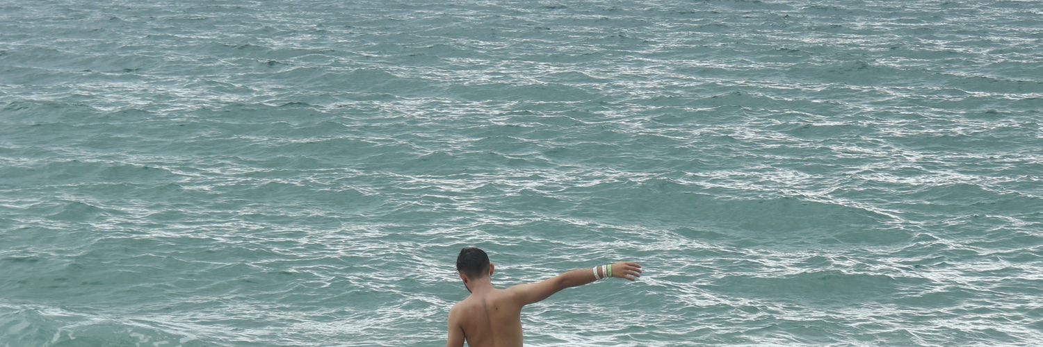 T R I F O banner