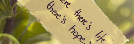 DIRECTOR_speaks's profile banner image