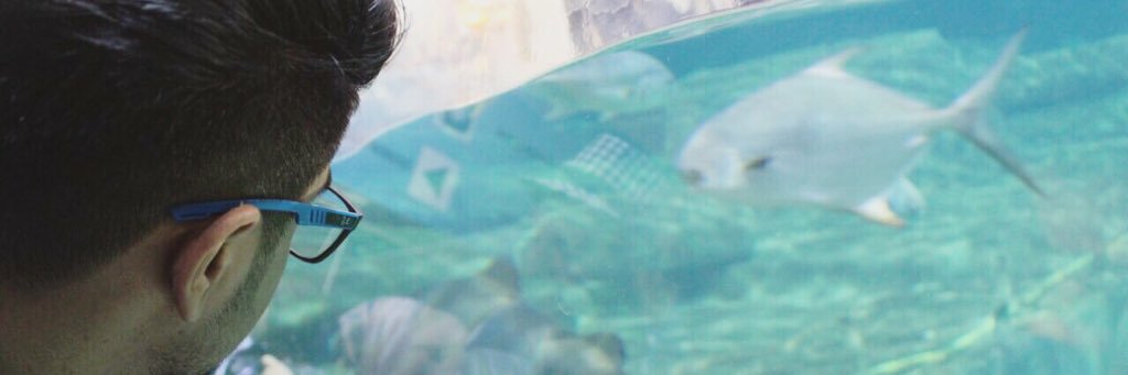 Jr__z7's profile banner image