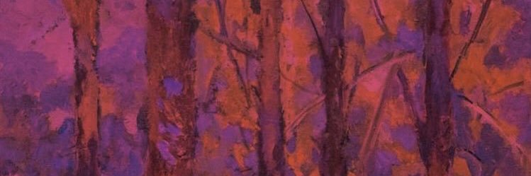 CandePenido's profile banner image