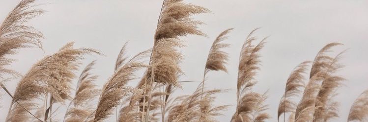 ima_a97's profile banner image