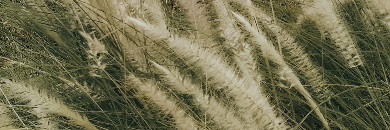 wralifah's profile banner image
