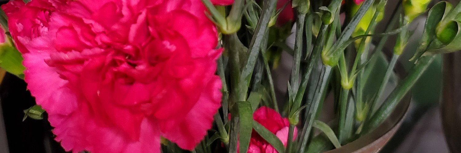 iridescente1's profile banner image