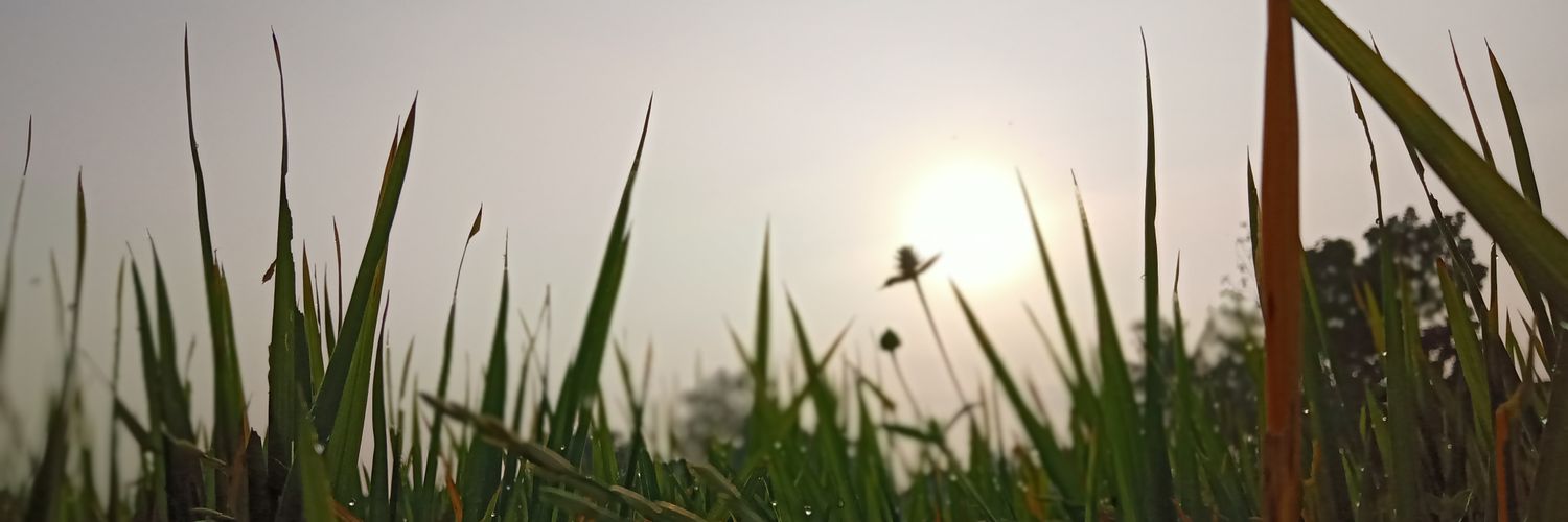 iloetf's profile banner image