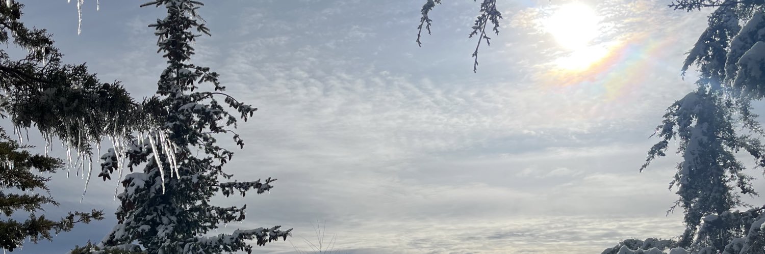 jonathan_zb's profile banner image
