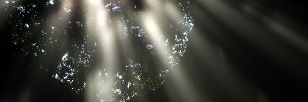 jinonehk Profile Banner