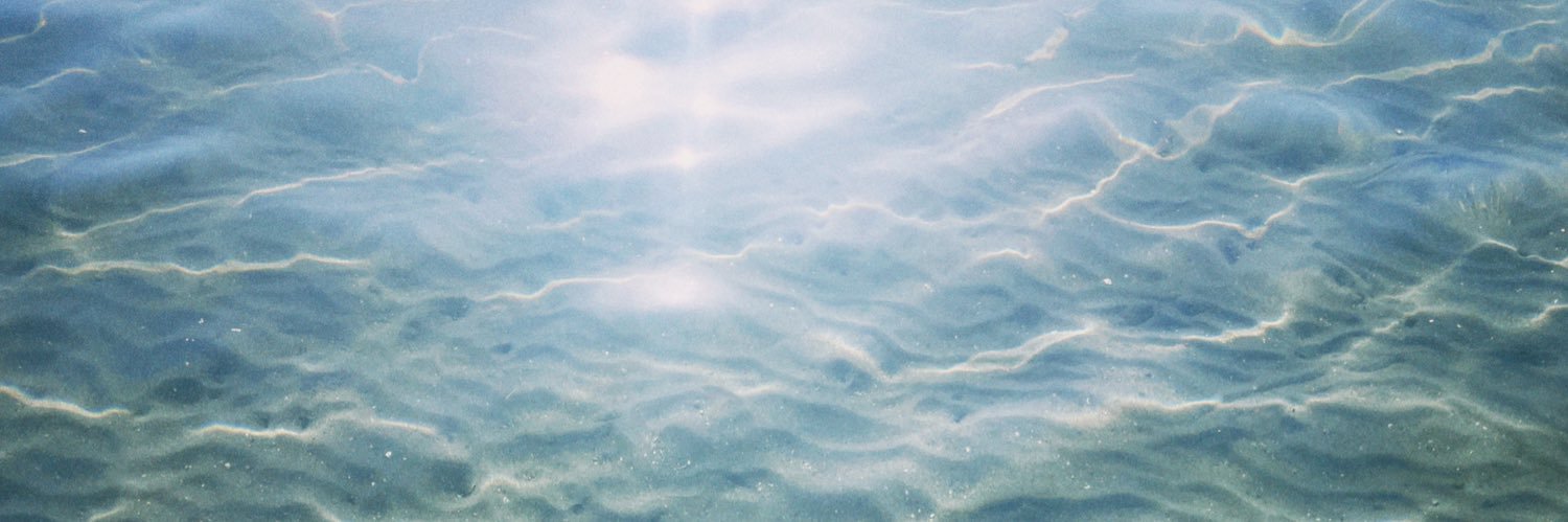 ただのふくたろう banner