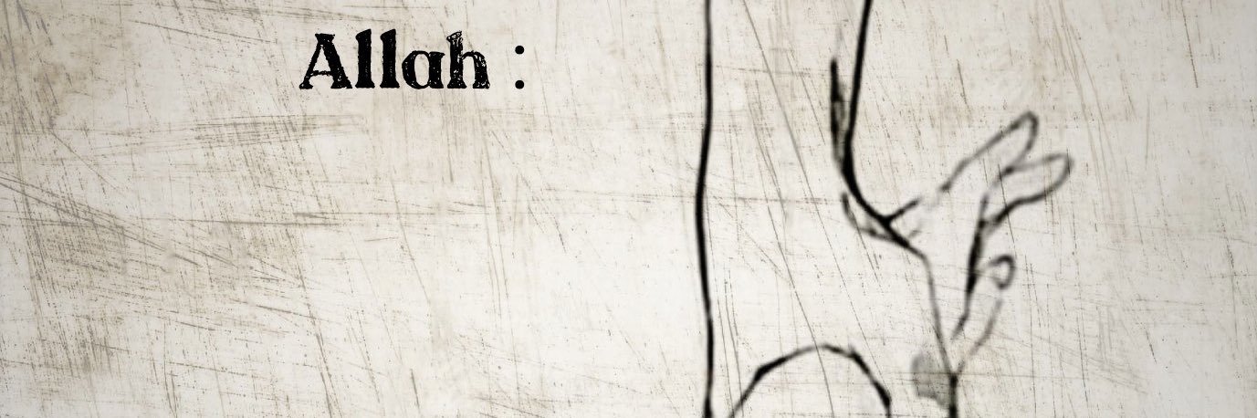 haloderiyanti's profile banner image
