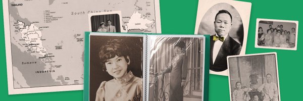 lilyellowriceco Profile Banner
