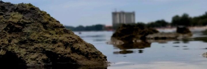 ALFSL_'s profile banner image
