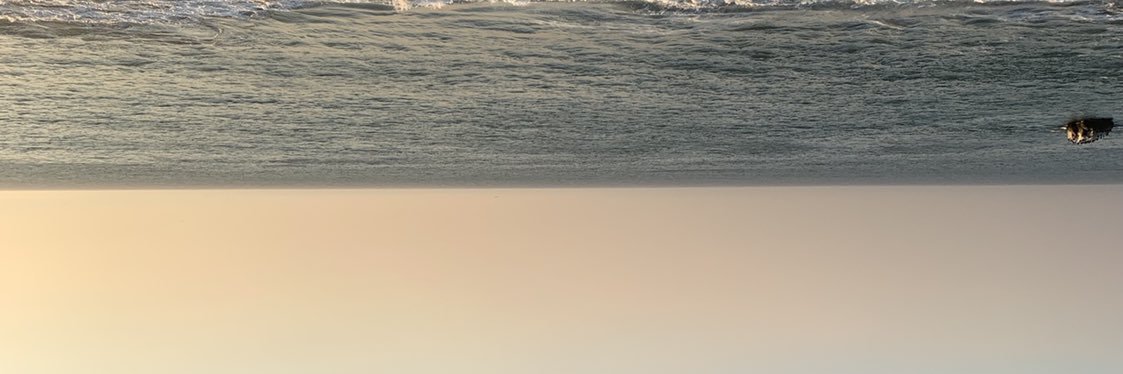 lifeisAltered's profile banner image