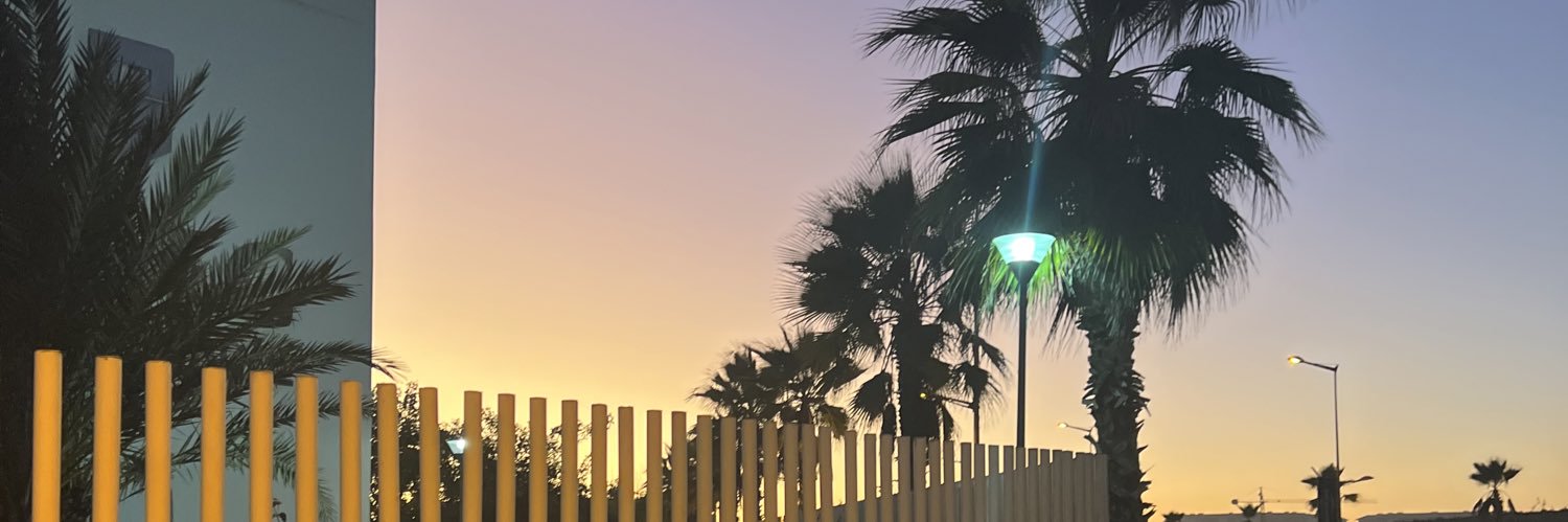 illyannv's profile banner image