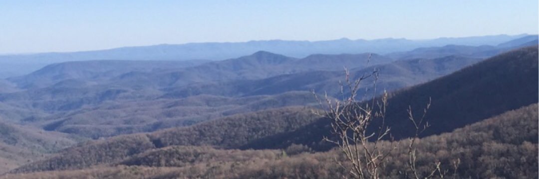 ElizabethFreeze's profile banner image