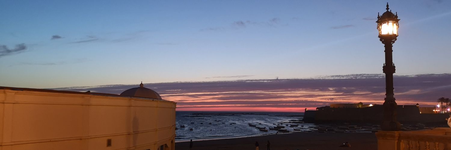 Fran de Jesus🍋 banner