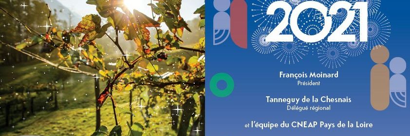 fraja85's profile banner image