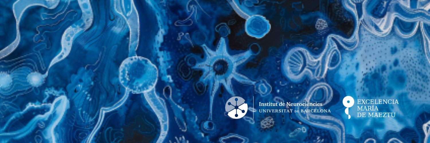 Institut de Neurociències de la UB's banner