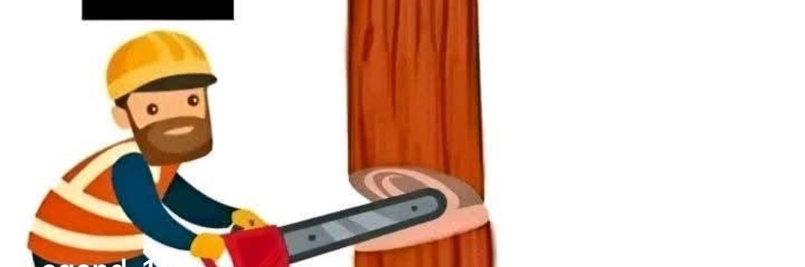fenajiro's profile banner image