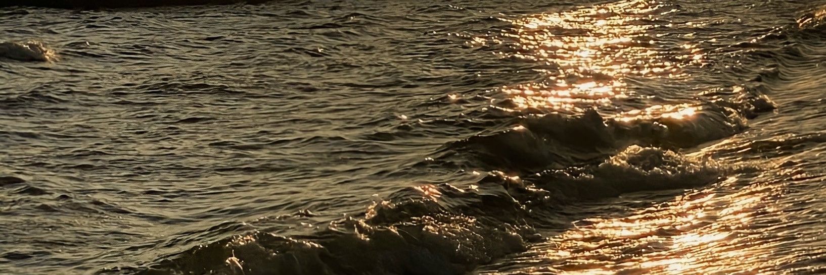 G banner