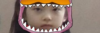 tok o banner