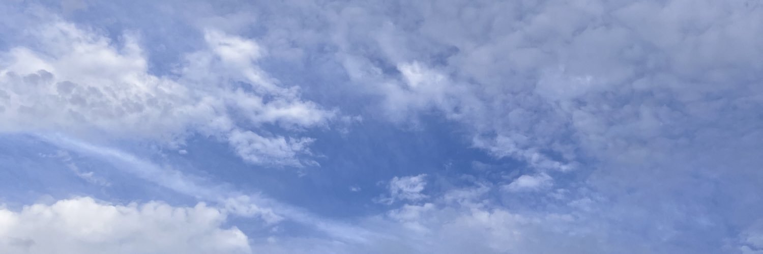 sui_hydrangea's profile banner image