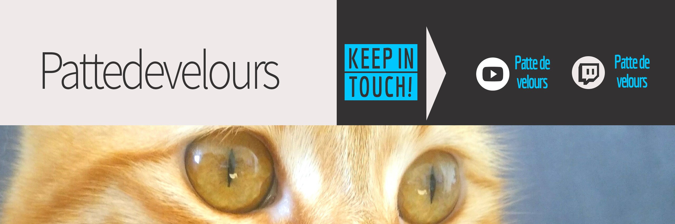 Pattedevelours banner