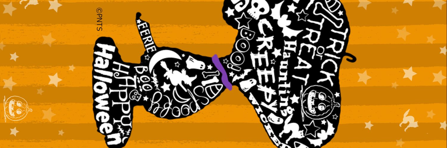 superwavekid's profile banner image