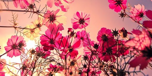 winda_suryadi's profile banner image