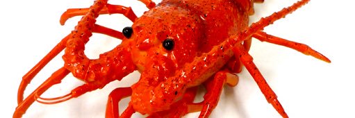 chocobattoace's profile banner image