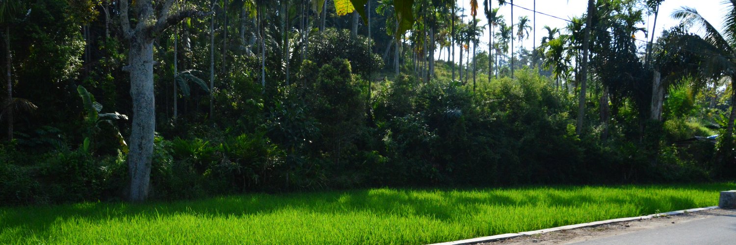 ardimanto's profile banner image