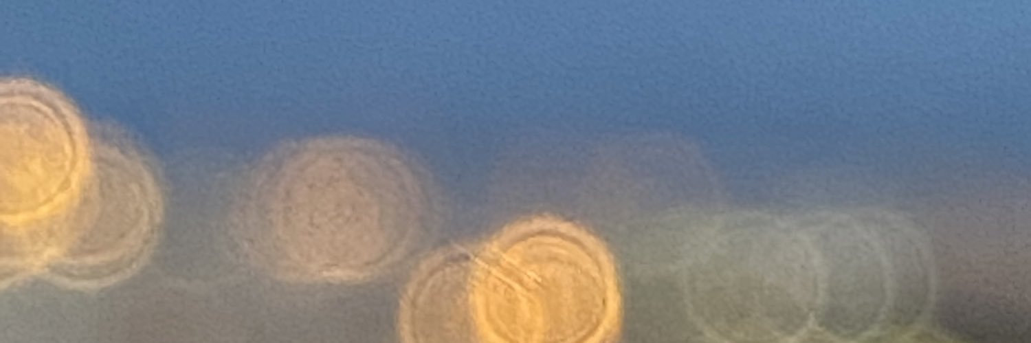 皇阿玛他是Dystopia啊 banner