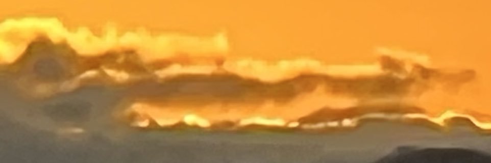 ローラ banner