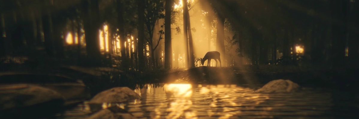 eli’s 𝓈𝒶𝓊𝒹𝒶𝒹𝑒 banner