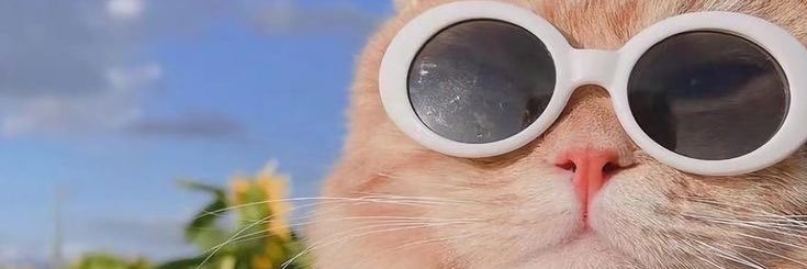 luvmatchaaluv's profile banner image