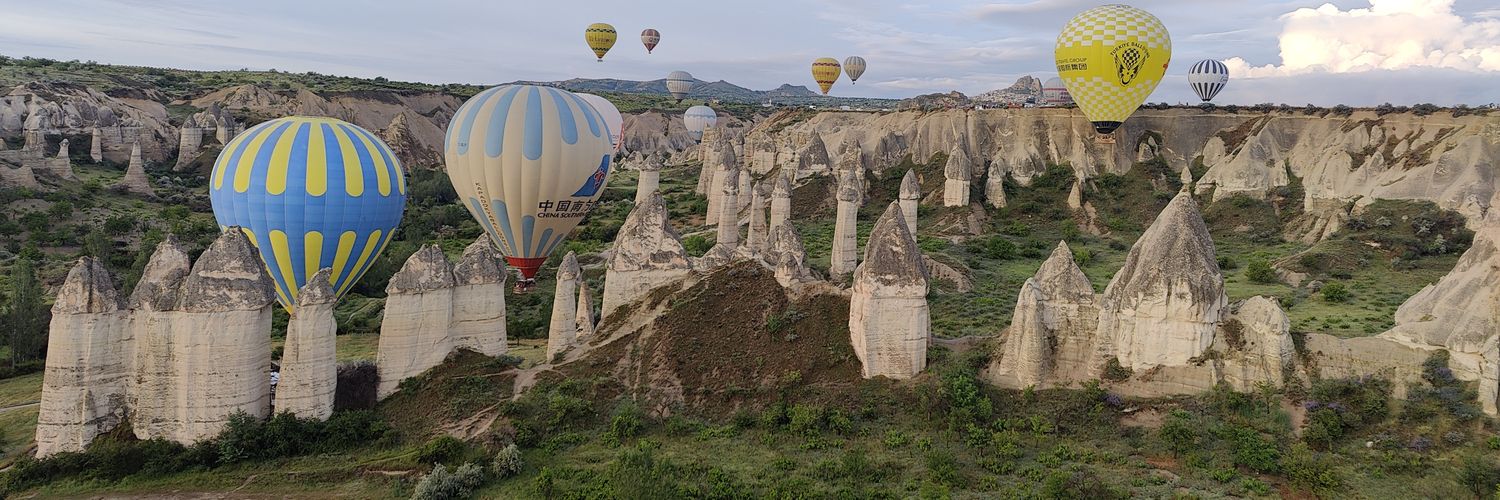 Dennis Robert Nedumthakady banner