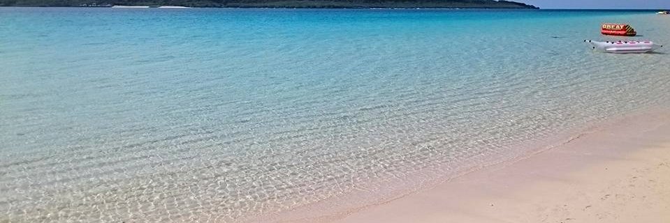 cococonokokoko banner