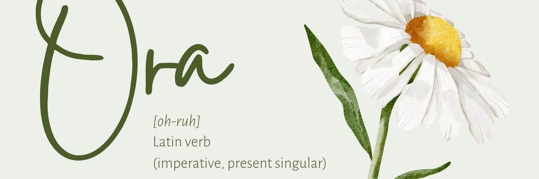SimulOra's profile banner image