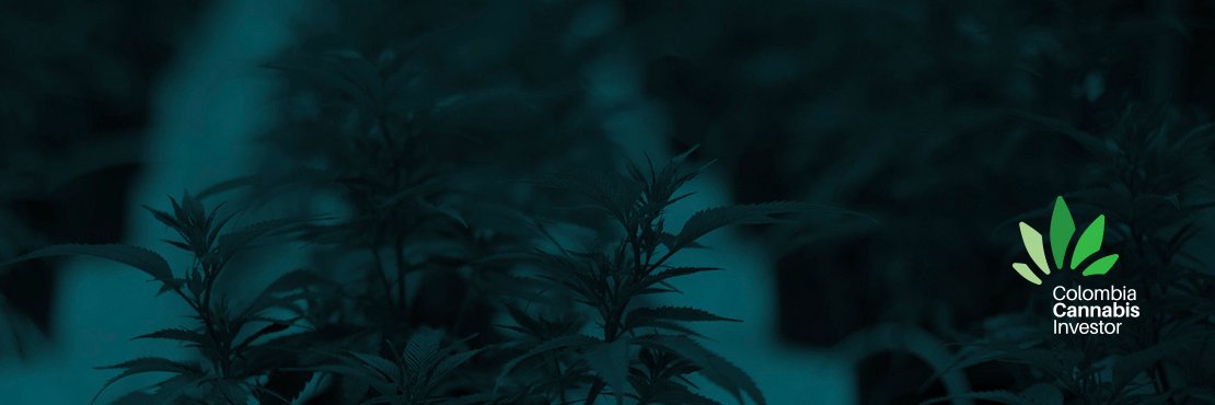 ColCannIn's profile banner image