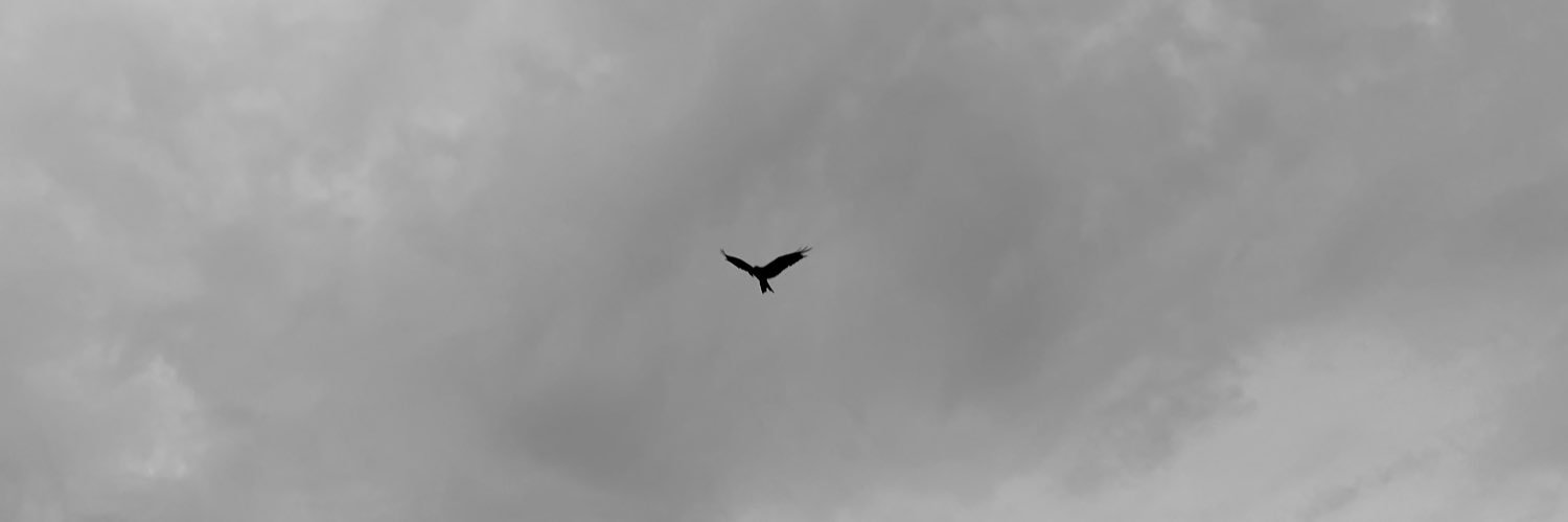 iMk_16zero4's profile banner image
