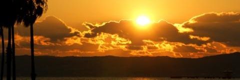 プア🎩🐘🐲⚔️🇭🇰 banner